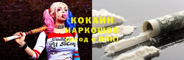 прущие грибы Краснослободск