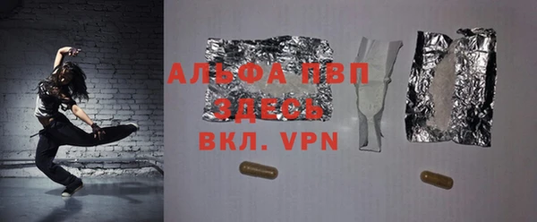 прущие грибы Краснослободск