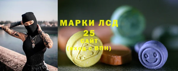 прущие грибы Краснослободск
