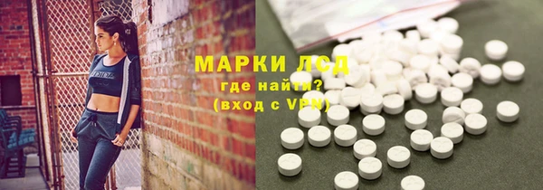 прущие грибы Краснослободск