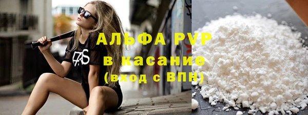 прущие грибы Краснослободск