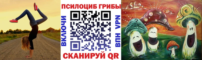Псилоцибиновые грибы мицелий  нарко площадка как зайти  Козельск  продажа наркотиков 